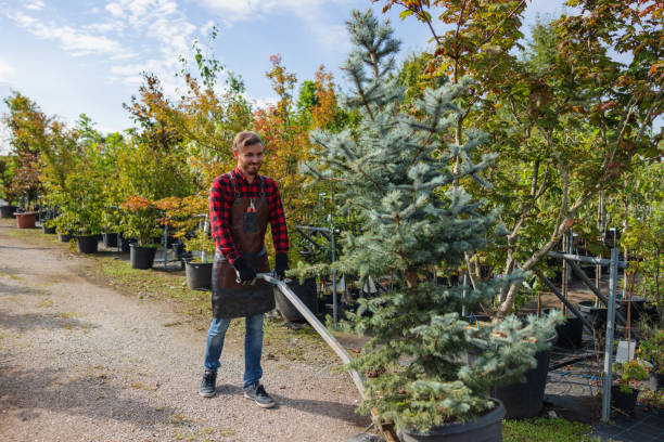 Mulching Services in Chenoa, IL